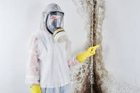 Best Asbestos and Lead Testing During Mold Inspection  in Pickerington, OH